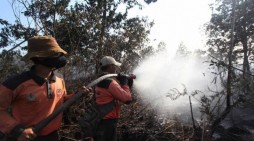 Kebakaran di Meranti Riau Meluas