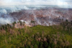 Kebakaran Hutan di Meranti Riau, BPBD Keluhkan Perusahaan Tak Bantu Pemadaman