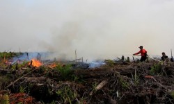 Kebakaran Lahan di Kota Dumai Mendekati Bandara Pinang Kampai
