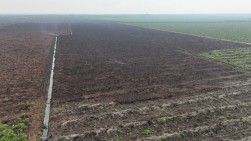 Kebakaran Lahan di Merbau Berhasil Dipadamkan, Pemerintah Diminta Siagakan Peralatan di Lapangan