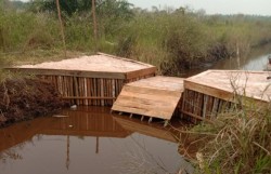 Kebakaran Tahunan, Pemerintah Salah Kelola Gambut di Riau, Ini Penyebabnya