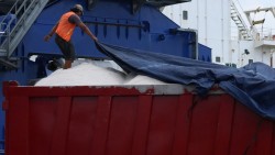 Kemendag Abaikan Panggilan Persidangan KPPU Terkait Kasus Dugaan Kartel Garam