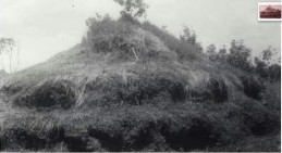 Kerajaan Kandis, Menelusuri Jejak Negeri yang Hilang di Belantara Kuansing