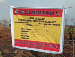 Lahan Milik Perusahaan Sawit di Riau Terbakar