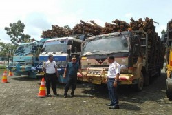 Langgar Aturan, 4 Truk Bermuatan Kayu di Siak Diamankan