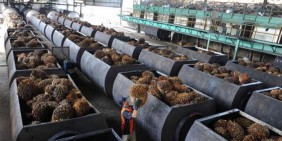 Larangan CPO Indonesia, Uni Eropa: Bisa Direvisi