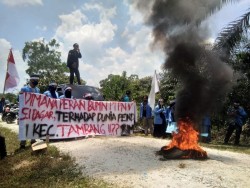 Mahasiswa Tambang Demo PTPN V Sungai Pagar, Mereka Nyatakan Tak Dapat Perhatian