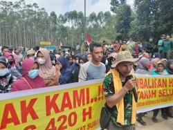 Masyarakat Desa Subarak Gunung Sahilan Minta Kembalikan Lahan 420 Hektar yang Dikuasai PT RAPP