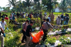 Mayat Di kebun Cabai, Polisi Temukan Gelas Plastik Berisi Racun Dekat Sabarudin