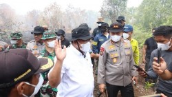 Menteri LH Turun Langsung ke Karhutla Kampar, Penanganan Diminta Berbasis Data
