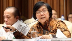 Menteri LHK Klaim Ada Peningkatan Kualitas Udara di Riau dan Lampung