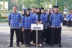 Nasib 2.400 PPPK Paruh Waktu di Riau Masih Menunggu Kepastian Pengangkatan dari Pusat