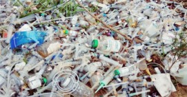 Ngeri, Limbah Medis Dibuang Sembarangan di Batam