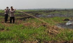 Panas Terik, Kapolres Inhil Pimpin Pemadaman Kebakaran Lahan di Keritang