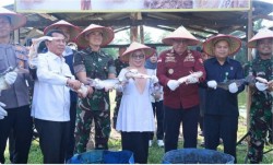 Panen Raya Ikan Patin Yonif 132/BS, Wabup Kampar Perkuat Sinergi Ketahanan Pangan Daerah