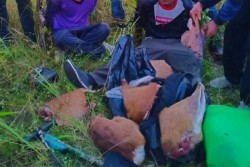 Pemburu Rusa Ditangkap di Taman Nasional Way Kambas Lampung