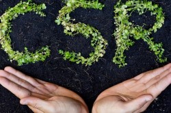 Pemkab Pasaman Barat Sebut Puluhan Perusahaan Sawit dan Bank tak Realisasikan CSR