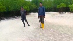 Pemkab Rohil Segera Kembangkan Wisata Pantai Sungai Sirih, Destinasi Baru yang Menjanjikan