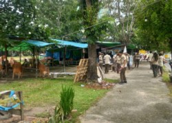 Pemko Pekanbaru Siapkan Tenda Representatif bagi PKL Stadion Utama Usai Penertiban
