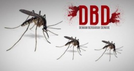 Pemkot Bandar Lampung Akui Belum Anggarkan Dana Penanggulagan DBD