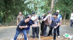 Perindah Kota Batam, BP Batam Tanam Bunga Mirip Bunga Sakura