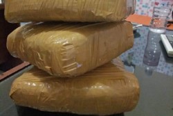 Polda Lampung Ciduk Terduga Pengedar Ganja 4 Kg