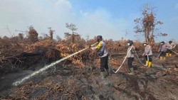 Polda Riau Tetapkan 55 Tersangka Karhutla, Luas Lahan Terbakar Capai 3.378 Hektare