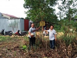Polemik Lahan Hutan Lindung, Warga Bintan: Jangan Anggap Kami Monyet!