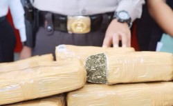 Polres Langkat Ringkus Kurir 25 kg Ganja Tujuan Medan