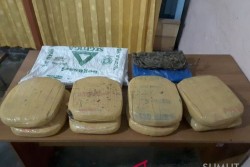 Polres Madina Amankan Delapan Bal Ganja Kering
