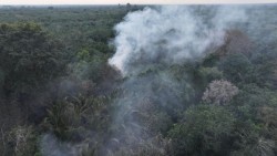 Polri Tetapkan 72 Tersangka Karhutla, Riau Jadi Wilayah dengan Kasus Terbanyak