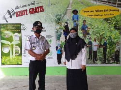 Program Tambang Bersih Dan Hijau Dapat Bantuan Dari Dishut Kampar