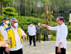 Progres Pembangunan Gedung IKN, Jokowi : Mulai Terlihat Bulan Januari Mendatang