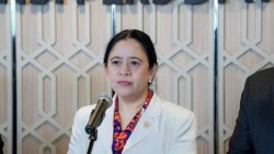 Puan Maharani Soroti Kesehatan Warga Terdampak Karhutla, Minta Pemerintah Bertindak Cepat