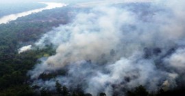 Awal Tahun, Puluhan Hektare Lahan di Riau Terbakar