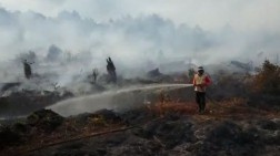 Puluhan Hektare Lahan PT SSS Terbakar, Jaringan Masyarakat Gambut Riau Desak KLHK Bersikap Tegas