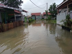 Puluhan Rumah Warga Perum Gaza Desa Kualu Terendam Air, Sudah Langganan Tiap Hujan