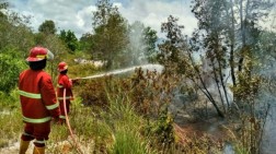 Puntung Rokok Bakar Semak Belukar di Aceh