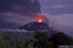 PVMBG: Gunung Ili Lewotolok Dua Kali Erupsi Hari Ini
