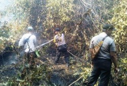 Rawan Kebakaran, Polisi Awasi Lahan Gambut di Karimun