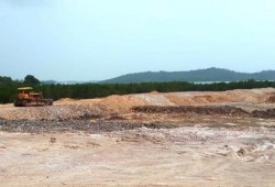 Reklamasi Tanjungpiayu Berada di dekat Budidaya Mangrove Ibu Negara