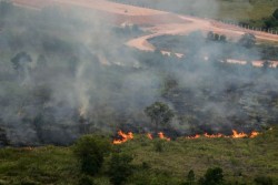 Riau Darurat Karhutla