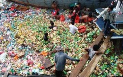 Ribuan Bungkus Mi Instan dari Kapal Karam di Karimun