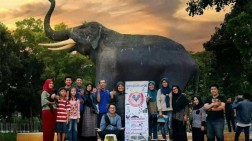 Rutin Gelar Cat Show dan Gathering, Komunitas Pecinta Kucing Lampung Semakin Ramai