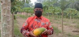 Satgas Covid-19 Kampar Larang Aparatur Keluarkan Izin Keramaian, Akan Diberi Sanksi Jika Membandel