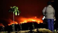 Satgas Karhutla Riau Akan Berakhir Oktober