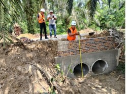Sektor Perkebunan Berikan Kontribusi dalam Pembangunan, Disbun Kampar Prioritaskan Jalan Produksi