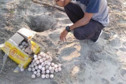 Selamatkan Penyu, Silfa Bentuk Bentuk Kawasan Konservasi