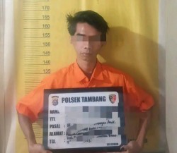 Setubuhi Pelajar SMP 6 Kali, Pelaku di Ringkus Polsek Tambang