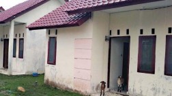 SMPN Gahru Jadi Kandang Ternak